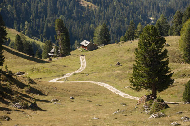 istock old hayloft in a pasture in Val di Funes at fall 1139348254