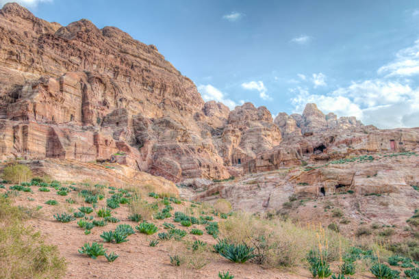 istock Petra valley in Jordan 1139352305