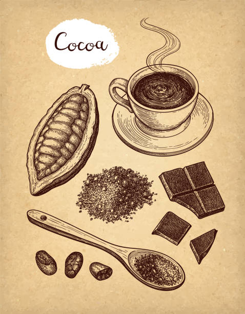 ilustraciones, imágenes clip art, dibujos animados e iconos de stock de set de cacao y chocolate. - chocolate cocoa hot chocolate backgrounds