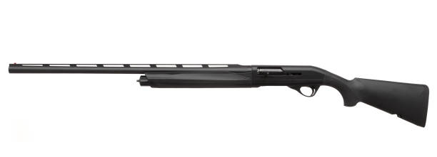 istock Shotgun isolated on white background 1139358637