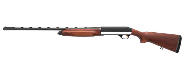 istock Shotgun isolated on white background 1139358771