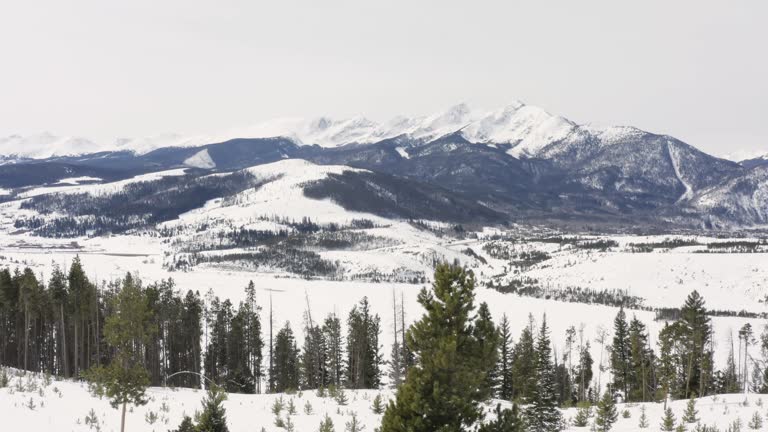 Tree Aerial Reveal Mountain Peaks Breckenridge Colorado