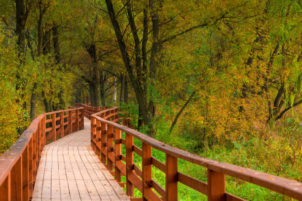 istock walking trail in the autumn empty park, September 1139369765