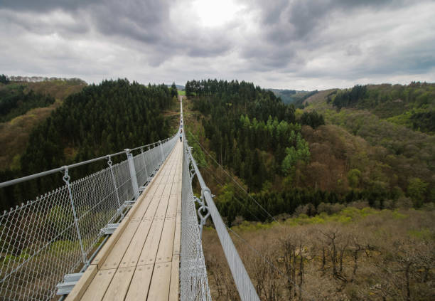 istock Long rope suspension bridge over a forested valley 1139372149