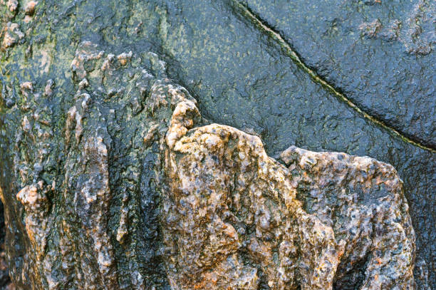 istock sea stone background, natural stone texture 1139373167