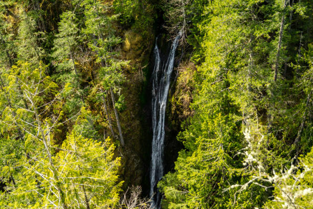 istock A waterfall flows out of the Olympic National Forest at Falls View Campground 1139377613