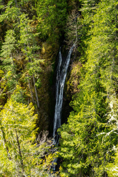 A waterfall flows out of the Olympic National Forest at Falls View Campground