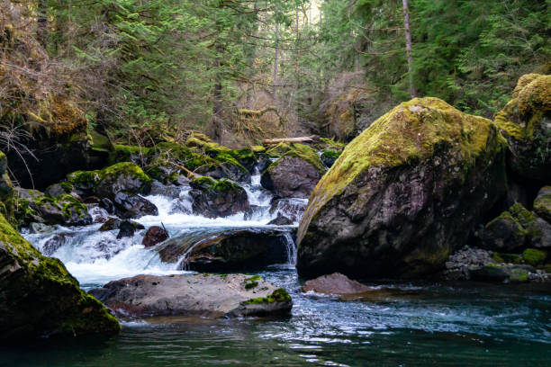 Northern Washington's Cascade Range.
