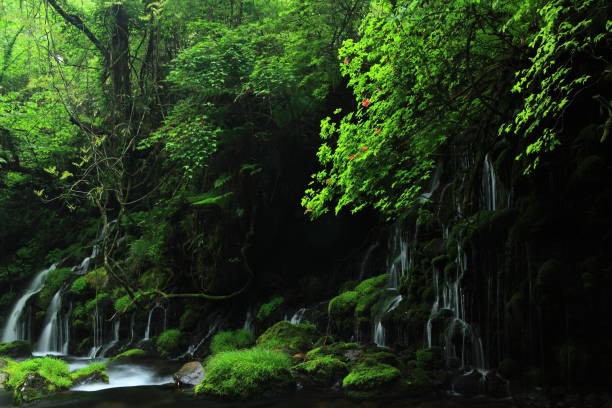 istock Akita Prefecture Summer Waterfall 1139379164