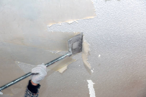 istock Take off in the popcorn ceiling home wall texture removal 1139383661