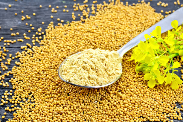 istock Mustard powder in spoon with flower on black board 1139391668