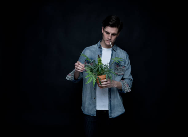 istock Handsome young man is holding a marijuana plant 1139396237