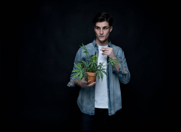 istock Handsome young man is holding a marijuana plant 1139396251