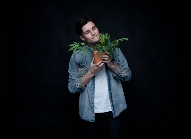istock Handsome young man is holding a marijuana plant 1139396268