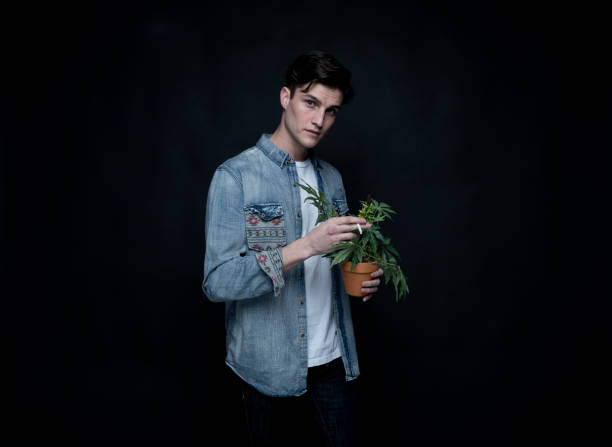 istock Handsome young man is holding a marijuana plant 1139396281