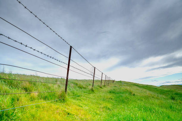 This is my Photographic Image of a Rural Fencing and Landscape in a Watercolour Effect. Because sometimes you might want a more illustrative image for an organic look.