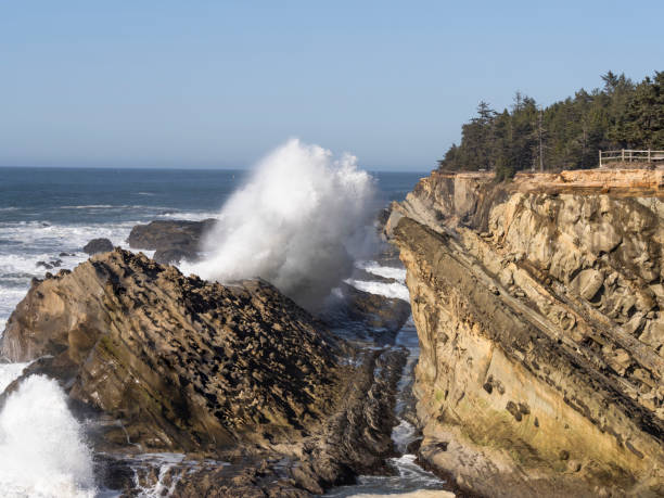 istock Shore Acres State Park Cape Arago Highway Oregon Ocean View 1139402638