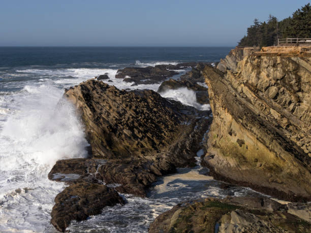 istock Shore Acres State Park Oregon Ocean View Cape Arago Highway 1139402660
