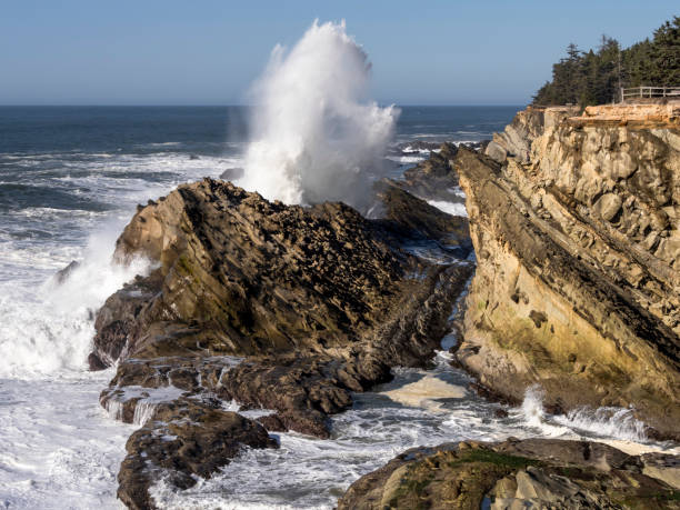 istock Shore Acres State Park Ocean View Cape Arago Highway Oregon 1139403416