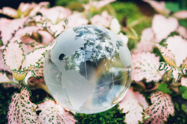 istock Globe glass in grass forest on nature background 1139403584