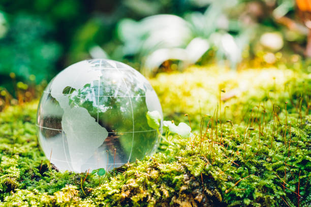 istock Globe glass in grass forest on nature background 1139403604