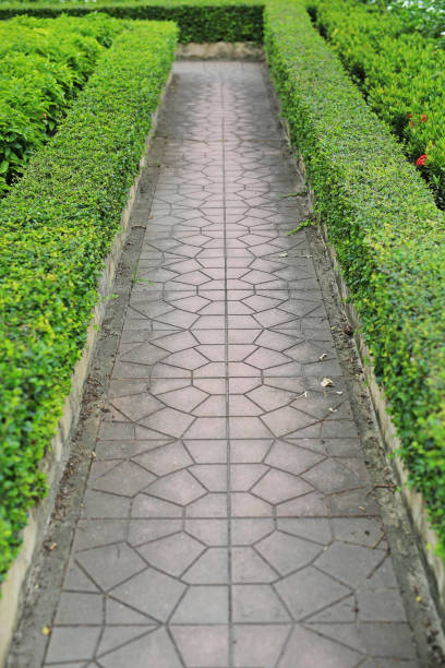 istock The walk path in the park between green leaves wall fence background. 1139403810