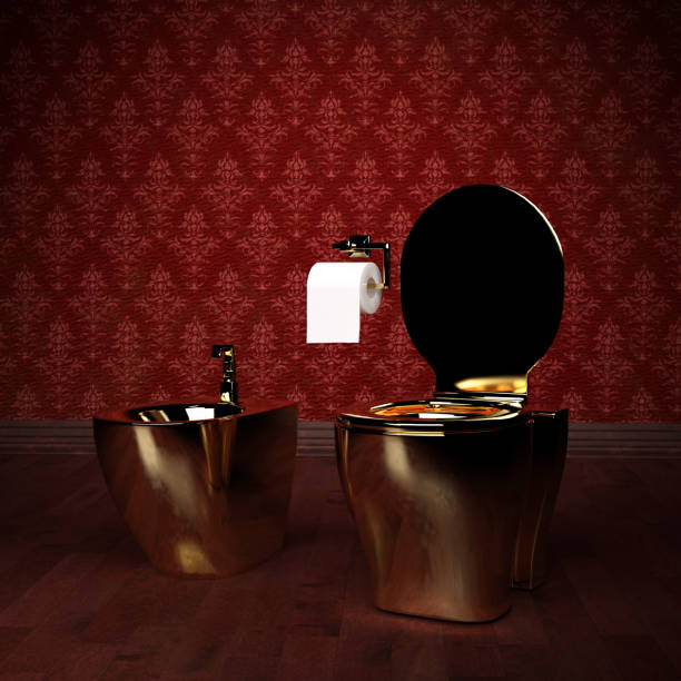 Cтоковое фото Роскошный золотой туалет и биде