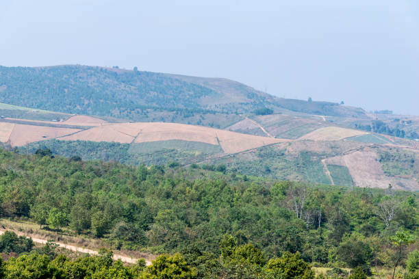 istock Local farmland on the high mountain. 1139412213