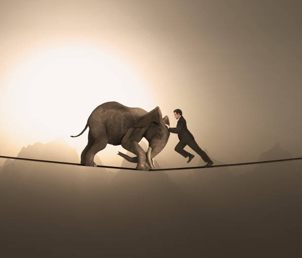 istock Man and an elephant pushing eachother and balacing on a rope at high altitude. 1139415624