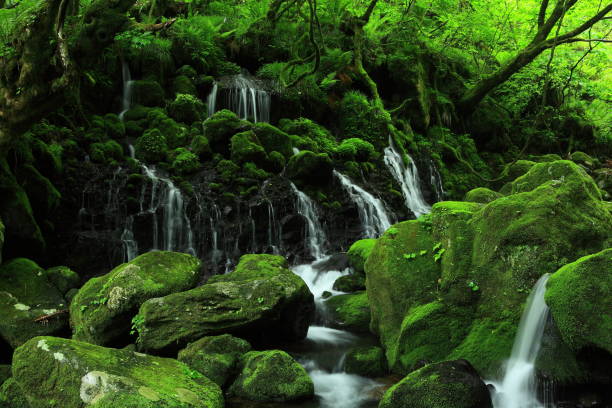 istock Akita Prefecture Summer Waterfall 1139415813