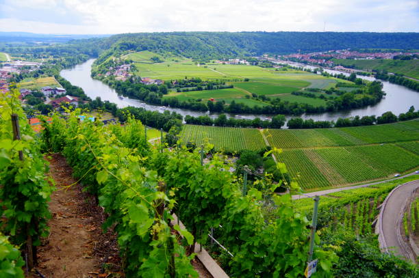 istock South German Countryside with beautiful river loop 1139419401