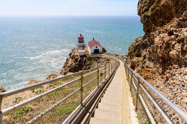 leiter geht hinunter zum point reyes lighthouse, kalifornien - point reyes national seashore northern california beach california stock-fotos und bilder