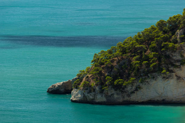 istock Coast of Vieste 4 1139427527