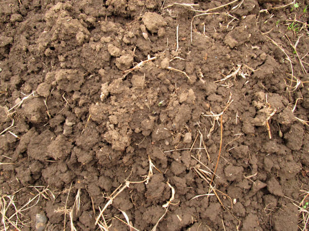Soil. stock photo