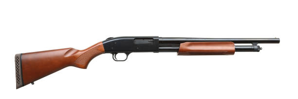 istock Shotgun isolated on white background 1139429318