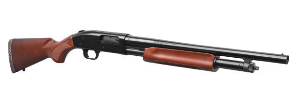 istock Shotgun isolated on white background 1139429370