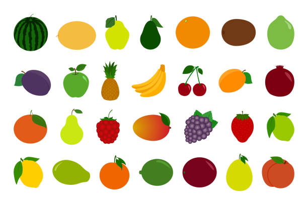 ilustraciones, imágenes clip art, dibujos animados e iconos de stock de conjunto de iconos de frutas y bayas. vector - feijoo