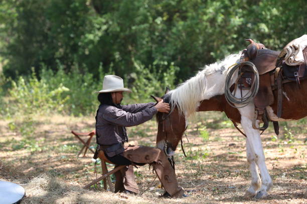 istock Man With Horse Sitting On Grass 1139432726