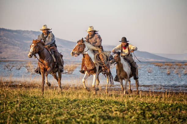 istock Men Riding Horses On Grass Against Lake And Sky 1139432850