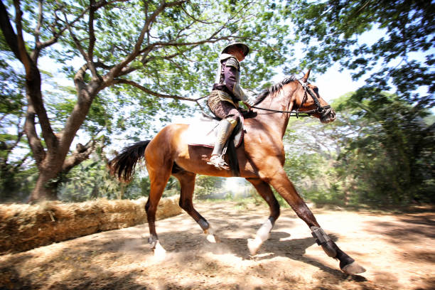 This horse and rider are clearing jump sixteen on a cross country jump course.
