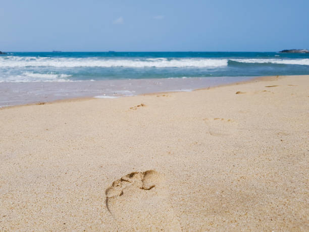 huellas humanas en la arena en una playa, conduciendo hacia el mar. - sand footprint track following fotografías e imágenes de stock