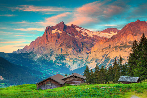 paisagem alpina do verão surpreendente com os alojamentos de madeira velhos, grindelwald, switzerland - hill grindelwald village landscape - fotografias e filmes do acervo