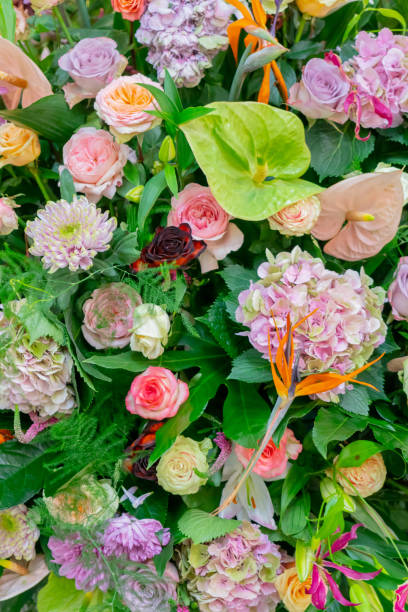 istock Floral background for greeting card. 1139438372