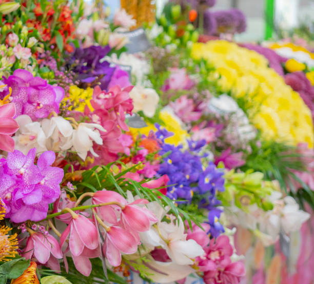 istock Floral background for greeting card. 1139438385