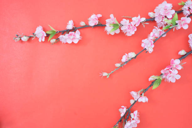 istock Beautiful plum flowers on red background 1139439001