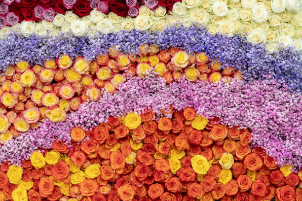 istock White, red, pink, orange roses. 1139439021
