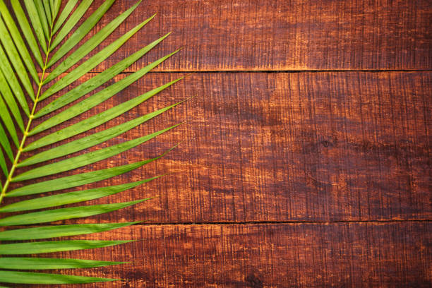 green palm leaves on a wood floor background. top view