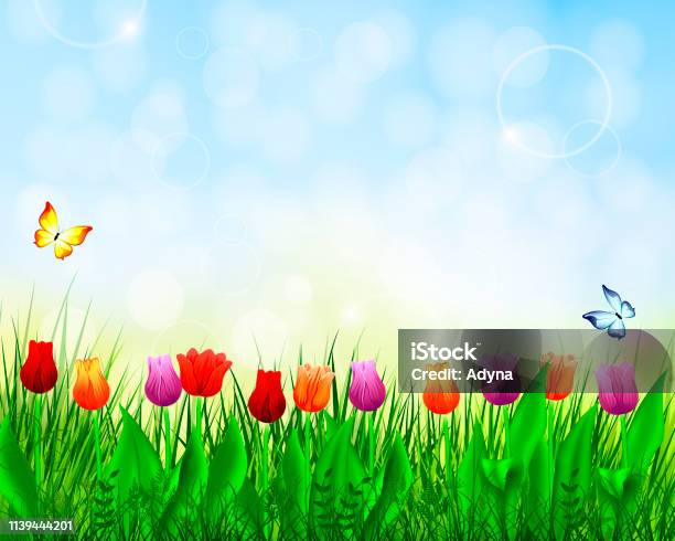 Stock Spring Landscape Spring Landscape Stock Illustration - Download Image Now - Backgrounds ...
