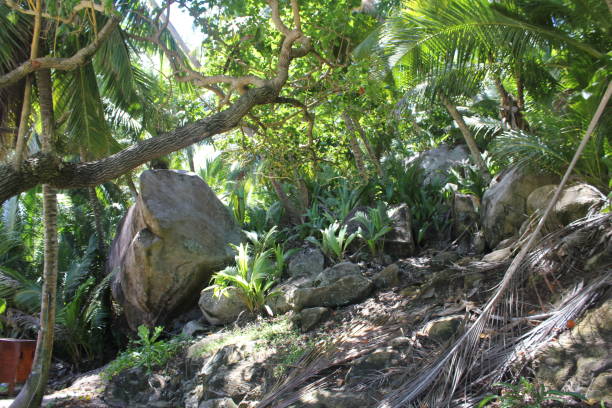 istock seychelles private island beach 1139444301