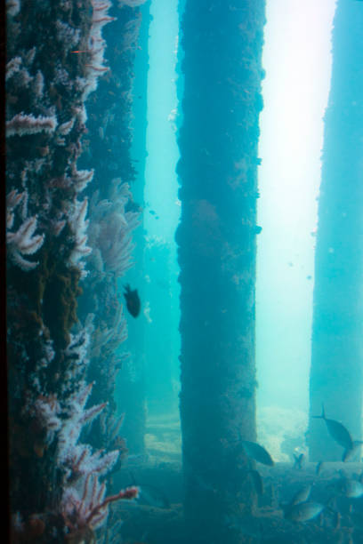 istock View from the Underwater Observatory, Busselton Jetty, WA, Australia 1139446935